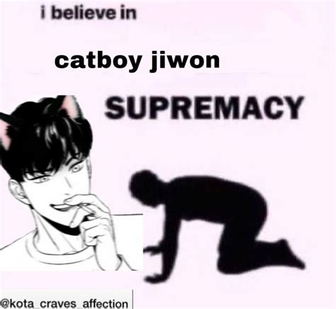 CATBOYJIWON Memes Catboy Humour