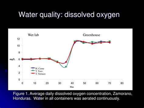 Ppt Use Of Fresh Bull And Hog Testis In Sex Reversal Of Nile Tilapia Fry Powerpoint