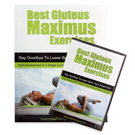 Best Gluteus Maximus Exercises Health And Personal Care