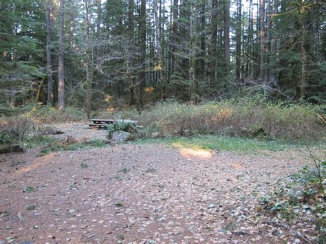 Camp Creek Campground Mount Hood Oregon