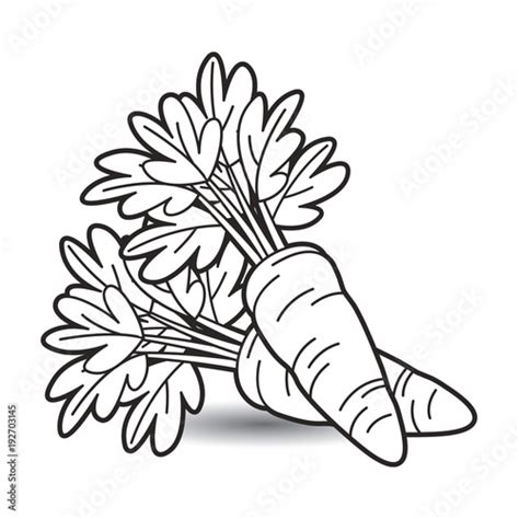 black outline carrot vector cartoon Stock Vector | Adobe Stock