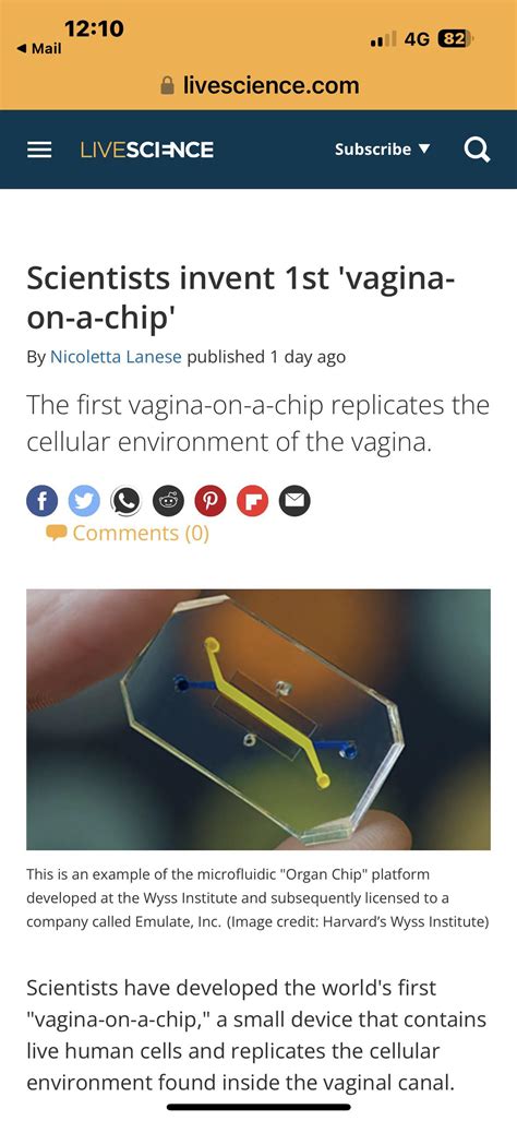 Scientists Invent Vagina On A Chip R BrandNewSentence