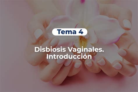 Curso Experto Salud Vulvovaginal Regenera