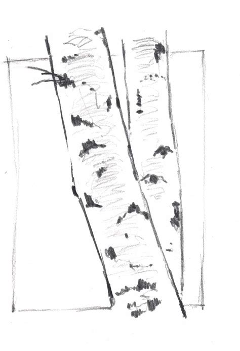 How To Draw Aspen And Steal Like An Artist Birch Tree Tattoos Aspen