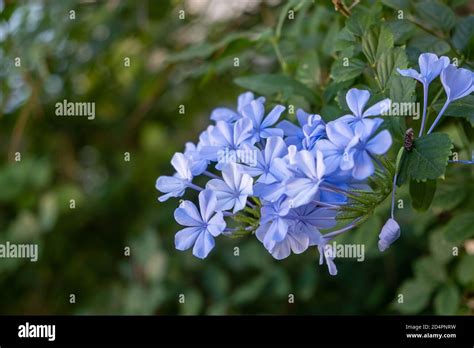 Blue Trailing Hi Res Stock Photography And Images Alamy