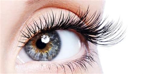 Basic Dos And Don’ts For Your I-Lashes Needs | Mycaal