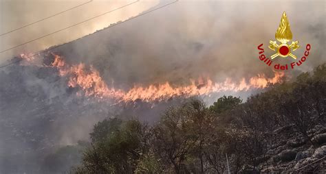 Lotta Agli Incendi Boschivi I Dati Aggiornati Degli Interventi Al 1