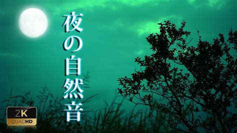 夜の自然音 Asmr、 虫の音、コオロギの音、水の流れる音、 リラックスして深く眠れます Youtube