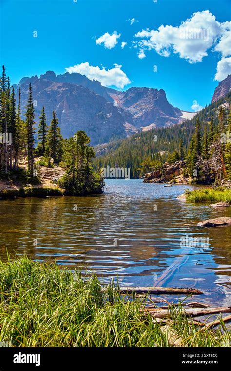 Lake with mountain view surrounded by pine trees and blue sky Stock ...