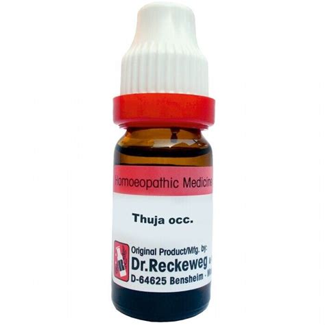 1x Dr Reckeweg Thuja Occidentalis 200ch Dilution 11ml Ebay