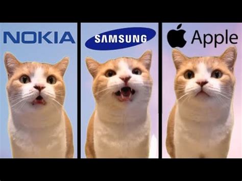 Cute Cat But Famous Phone Ringtones YouTube