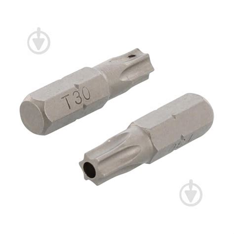ᐉ Бита Expert Fix Torx-Pin 25 25 мм 1 шт. • Купить в Киеве, Украине ...
