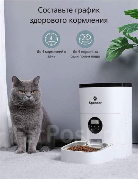 Автоматическая кормушка для кошек и собак, 4л. Умная автокормушка, в ...