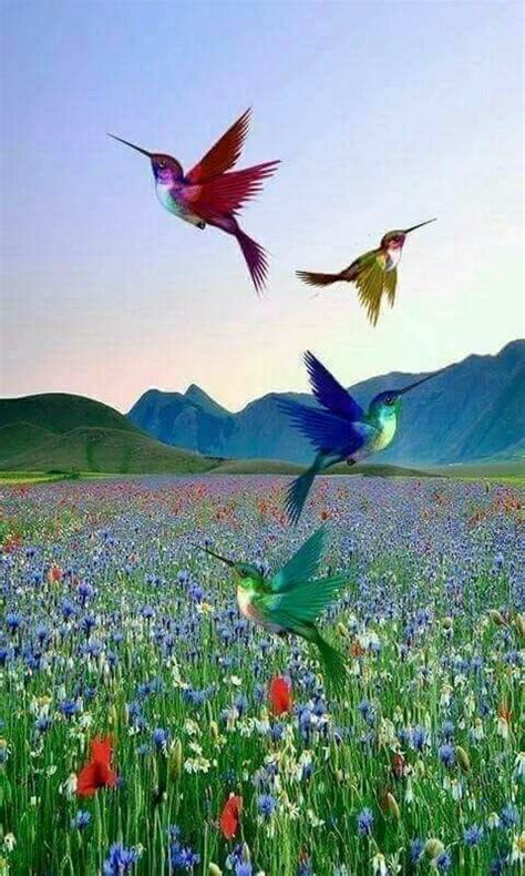 Three Colorful Birds Flying In The Air Over A Field Of Wildflowers And