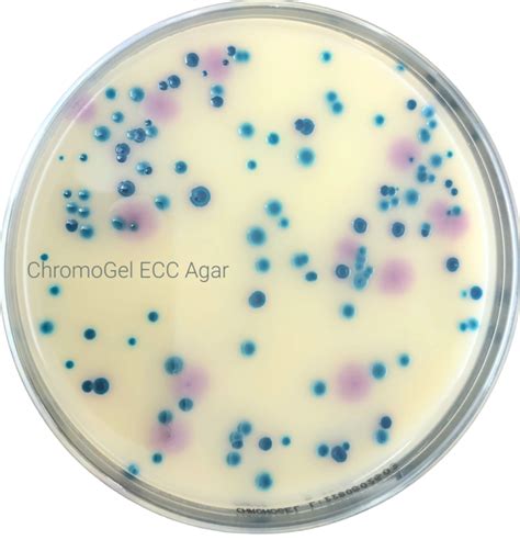 Chromogel Ecoli Coliforms Agar Ecc Tds Alphachem