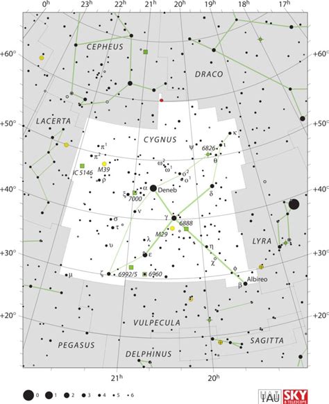 IC 1318 Pear Tree Observatory