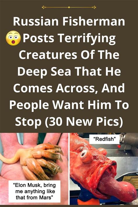 Russian Fisherman Posts Terrifying Creatures Of The Deep Sea That He