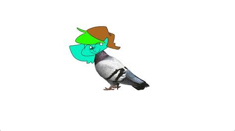 Annoying Pigeon Meme Youtube