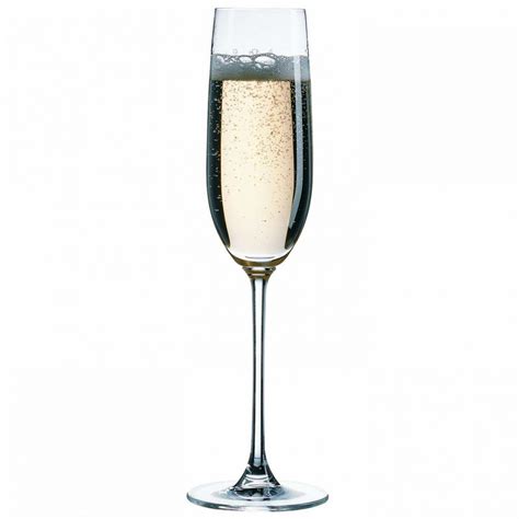 NUDE VINTAGE CHAMPAGNE SET CC FD GB OB