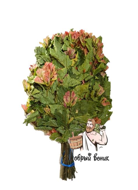 БАННЫЕ ВЕНИКИ