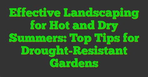 Effective Landscaping For Hot And Dry Summers Top Tips For Drought Resistant Gardens