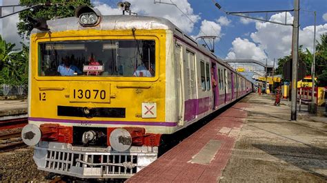 Green Body Emu And Yellow Faced Purple Color Emu Local Train Made Long