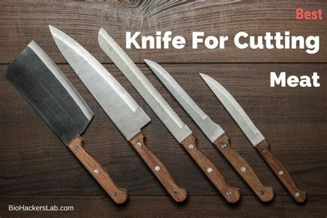 Best Knife To Cut Chicken