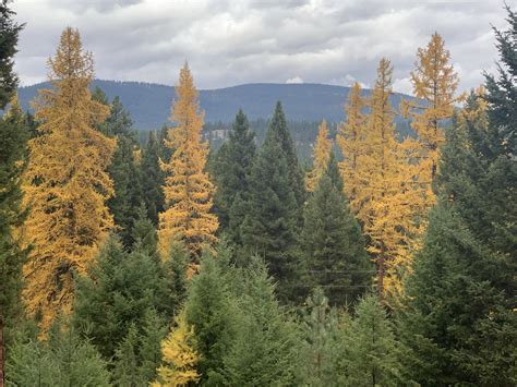 Fall Colors | Double Arrow Lodge