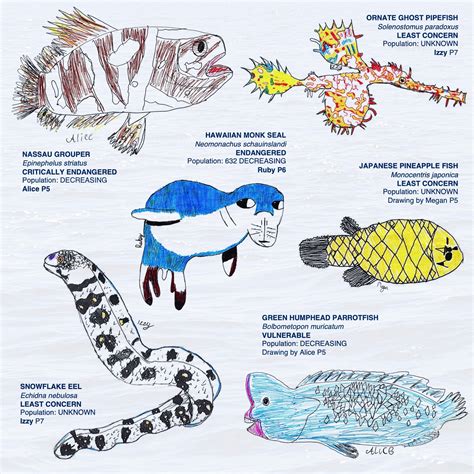 HOW YOU CAN HELP PROTECT MARINE WILDLIFE – DRAWING FOR THE PLANET