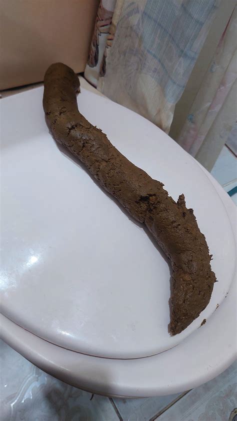 27 best u/breebreepp images on Pholder | Poop, Realscatguys and Ratemypoo