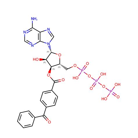 RCSB PDB - 8TRJ: Cryo-EM structure of the rat P2X7 receptor in complex ...