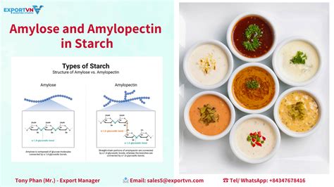 Amylose And Amylopectin In Starch Key Components And Their Functions