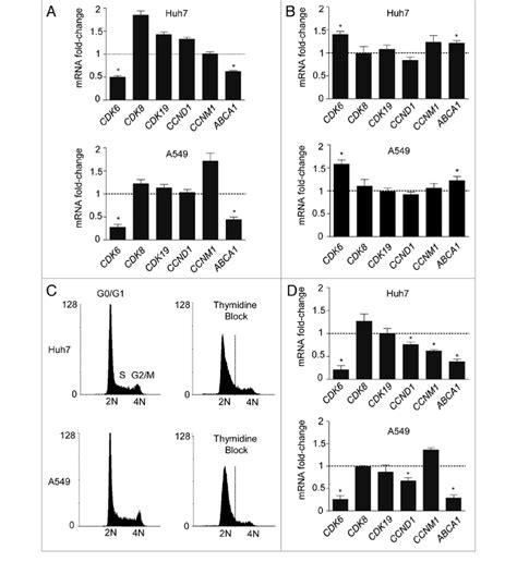 Post Transcriptional Regulation Of Cell Cycle Genes And Abca1 By