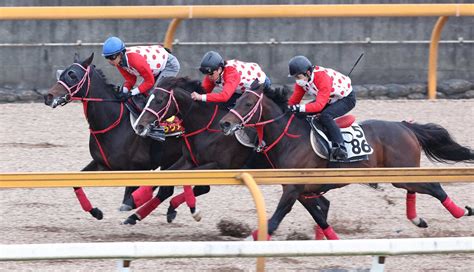 【オークス1週前追い】ラヴァンダ しまい伸びた！cw3頭併せできっちり1馬身先着― スポニチ Sponichi Annex ギャンブル