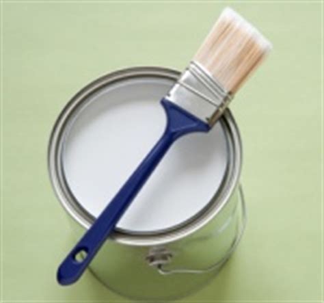 Using Mold Resistant Paint ..........Can you paint over mold?