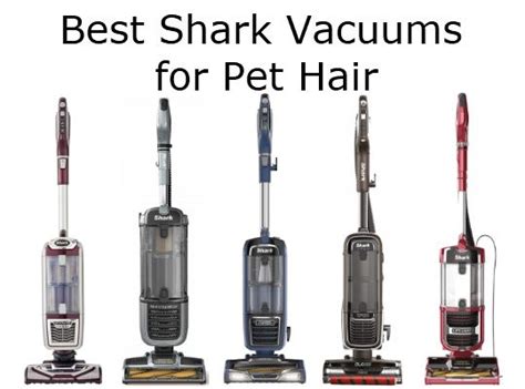 Top 5 Vacuum Cleaners for Pet Hair: Find Your Perfect Cleaner Today! - Hunter Games Magazine