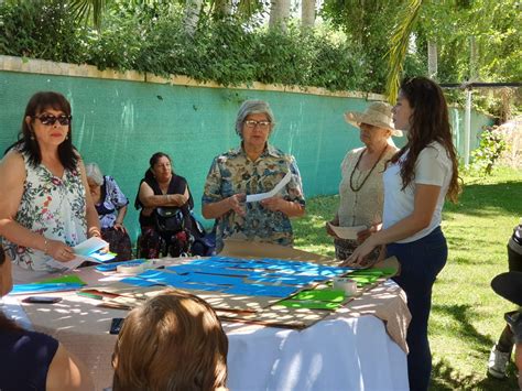 Centro De Salud Familiar Gar N Proyecto Senama Monitores Comunitarios