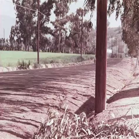 Free Honey Porn Videos XHamster