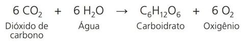Fotossíntese Formula - Fotossíntese: aprenda sobre as fases fotoquímica e bioquímica