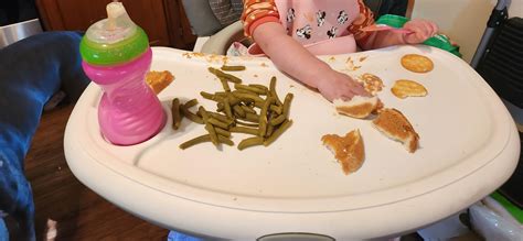 Lunch for 1 year old : r/foodbutforbabies