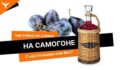 рДЖ 23: С косточкой или без? Как лучше? Настойка из сливы на самогоне ...
