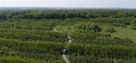 trail strategy toronto  region conservation authority trca