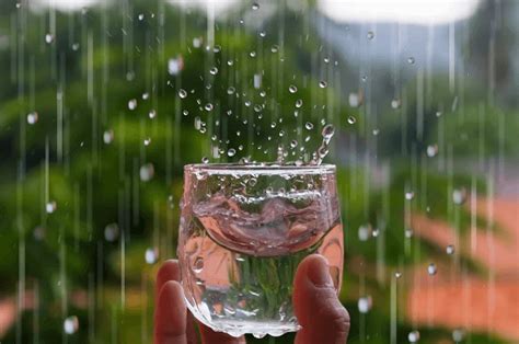 collect rainwater    safe  drink