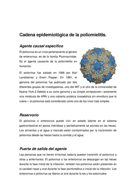 Cadena epidemiologica polio Cadena epidemiológica de la poliomielitis