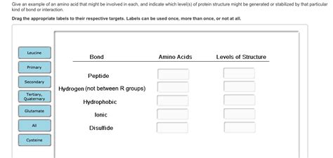 Solved Give an example of an amino acid that might be | Chegg.com