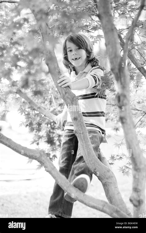 Boy Sitting Leaning Tree Hi Res Stock Photography And Images Alamy