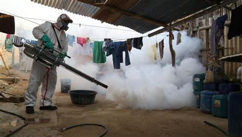 Casos de dengue en México aumentan 385 y muertes se quintuplican PorEsto