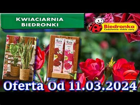 𝐁𝐈𝐄𝐃𝐑𝐎𝐍𝐊𝐀 Kwiaciarnia Biedronki Nowa Oferta Od 11 03 2024 Kwiatowe