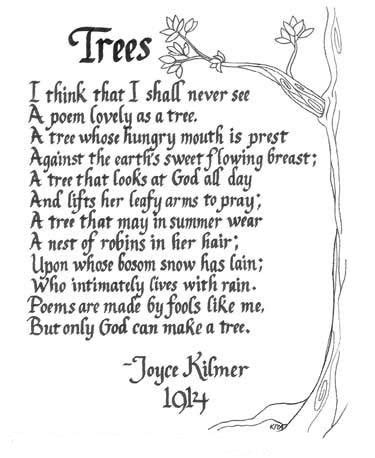 the oak tree poem author - Dollie Herrick