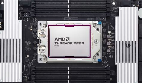 Amd Threadripper Shimada Peak 96 Core And 16 Core Cpus Based On Zen 5